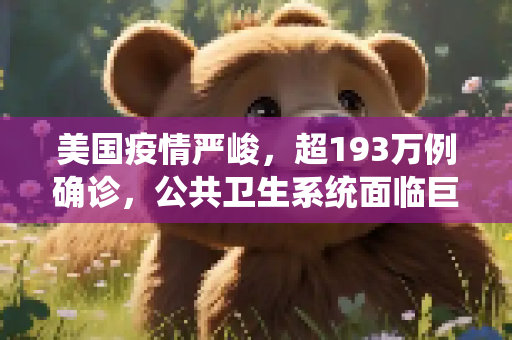 美国疫情严峻，超193万例确诊，公共卫生系统面临巨大挑战,美国超193万例