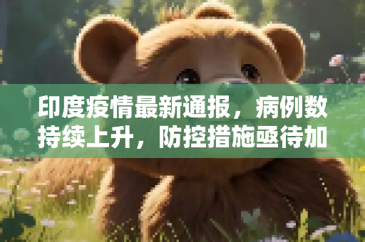印度疫情最新通报，病例数持续上升，防控措施亟待加强,印度疫情最新通报多少例