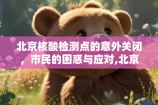 北京核酸检测点的意外关闭，市民的困惑与应对,北京核酸点突然关闭