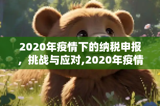2020年疫情下的纳税申报，挑战与应对,2020年疫情下的纳税申报