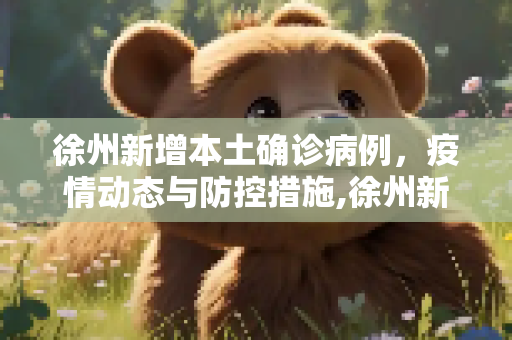 徐州新增本土确诊病例，疫情动态与防控措施,徐州新增本土确诊