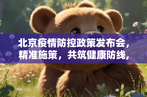 北京疫情防控政策发布会，精准施策，共筑健康防线,北京疫情防控政策发布会