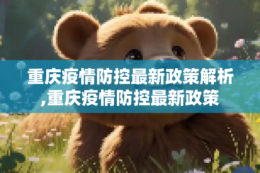 重庆疫情防控最新政策解析,重庆疫情防控最新政策