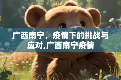 广西南宁，疫情下的挑战与应对,广西南宁疫情