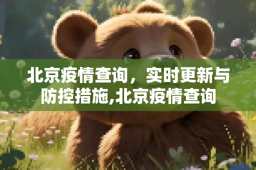 北京疫情查询，实时更新与防控措施,北京疫情查询