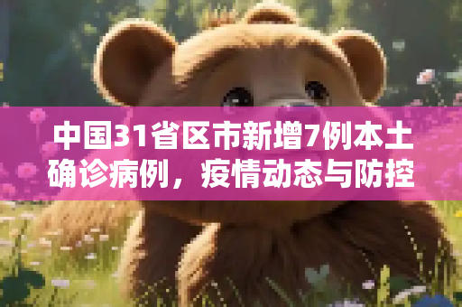 中国31省区市新增7例本土确诊病例，疫情动态与防控措施,31省区市新增7例本土确诊病例