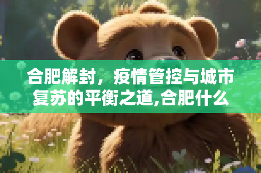 合肥解封，疫情管控与城市复苏的平衡之道,合肥什么时候能解封