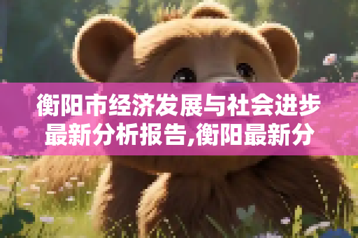 衡阳市经济发展与社会进步最新分析报告,衡阳最新分析报告