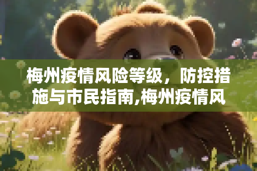 梅州疫情风险等级，防控措施与市民指南,梅州疫情风险等级
