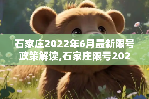 石家庄2022年6月最新限号政策解读,石家庄限号2022最新限号6月