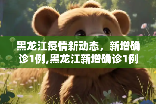 黑龙江疫情新动态，新增确诊1例,黑龙江新增确诊1例