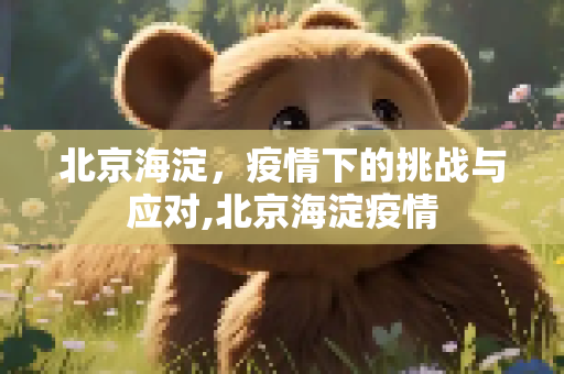 北京海淀，疫情下的挑战与应对,北京海淀疫情