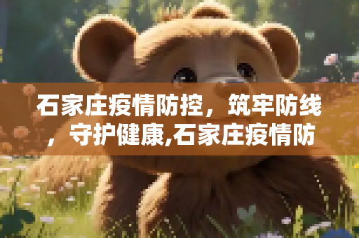石家庄疫情防控，筑牢防线，守护健康,石家庄疫情防控
