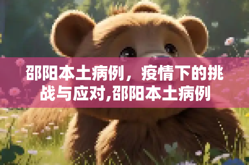 邵阳本土病例，疫情下的挑战与应对,邵阳本土病例