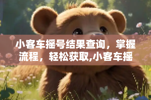 小客车摇号结果查询，掌握流程，轻松获取,小客车摇号结果查询