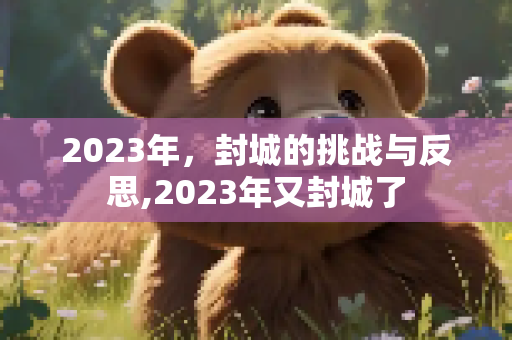 2023年，封城的挑战与反思,2023年又封城了