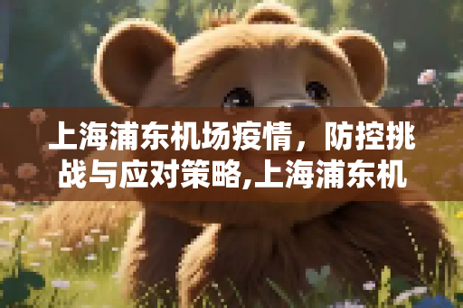 上海浦东机场疫情，防控挑战与应对策略,上海浦东机场疫情