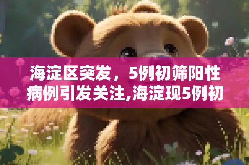 海淀区突发，5例初筛阳性病例引发关注,海淀现5例初筛阳性