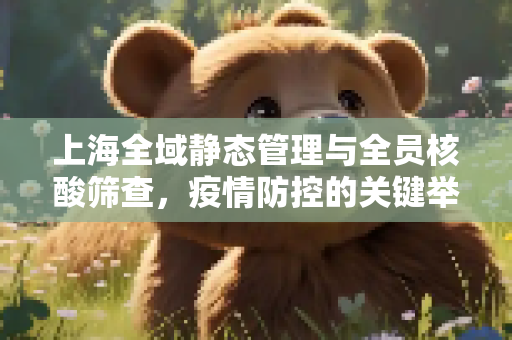 上海全域静态管理与全员核酸筛查，疫情防控的关键举措,上海全域静态管理全员核酸筛查