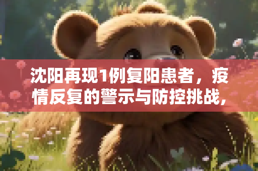 沈阳再现1例复阳患者，疫情反复的警示与防控挑战,沈阳现1例复阳患者