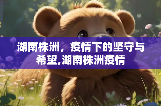湖南株洲，疫情下的坚守与希望,湖南株洲疫情