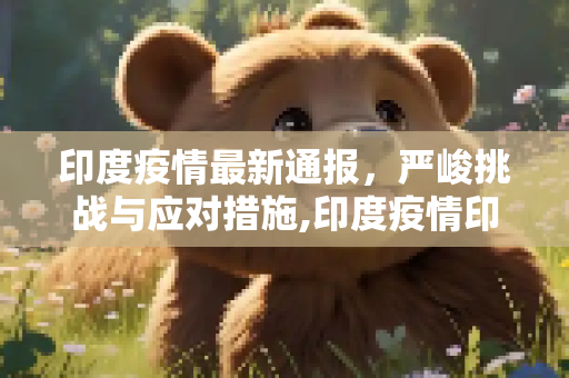 印度疫情最新通报，严峻挑战与应对措施,印度疫情印度最新通报