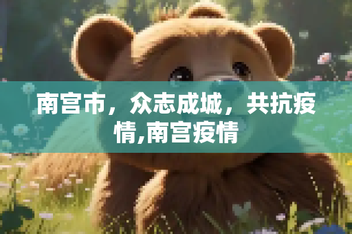 南宫市，众志成城，共抗疫情,南宫疫情