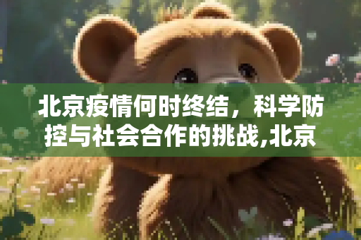 北京疫情何时终结，科学防控与社会合作的挑战,北京最新疫情啥时候结束