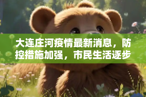 大连庄河疫情最新消息，防控措施加强，市民生活逐步恢复,大连庄河疫情最新消息
