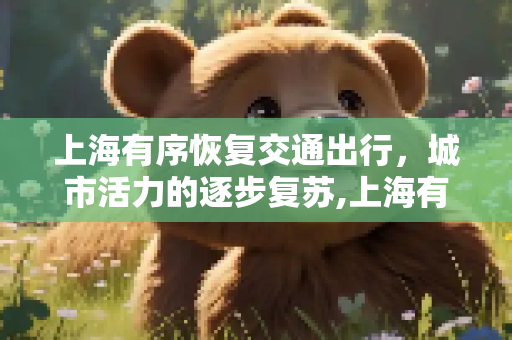 上海有序恢复交通出行，城市活力的逐步复苏,上海有序恢复交通出行