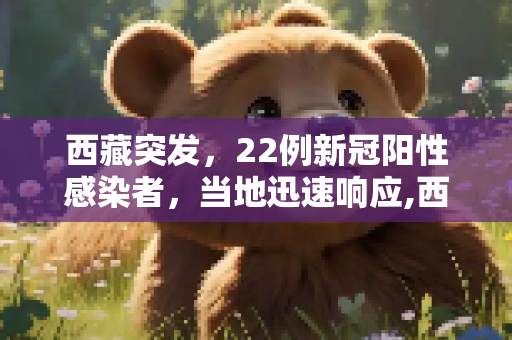 西藏突发，22例新冠阳性感染者，当地迅速响应,西藏发现22例新冠阳性感染者