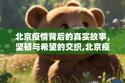 北京疫情背后的真实故事，坚韧与希望的交织,北京疫情背后的真实故事
