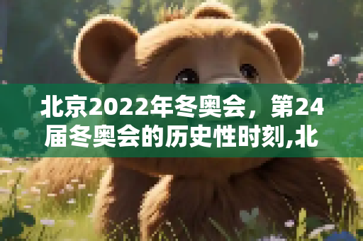北京2022年冬奥会，第24届冬奥会的历史性时刻,北京2022年将举办第几届冬奥会