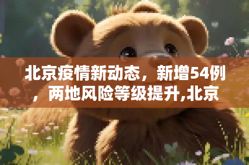 北京疫情新动态，新增54例，两地风险等级提升,北京新增54例2地升高风险