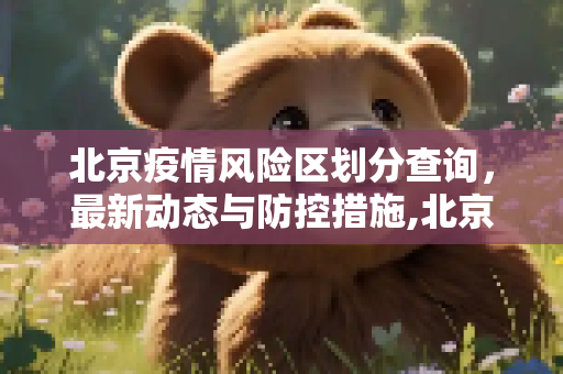 北京疫情风险区划分查询，最新动态与防控措施,北京最新疫情风险区划分查询
