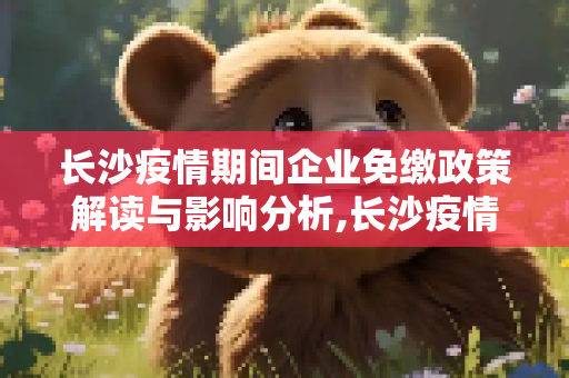 长沙疫情期间企业免缴政策解读与影响分析,长沙疫情期间企业免缴政策解读与影响分析