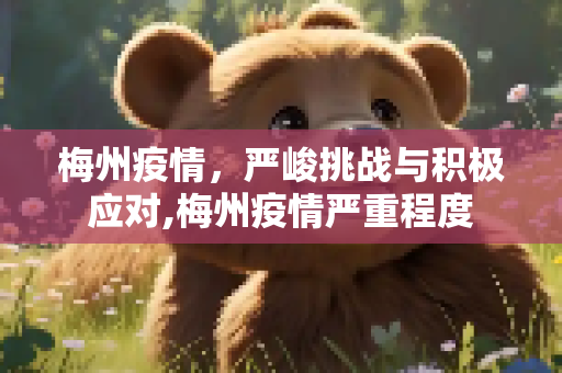 梅州疫情，严峻挑战与积极应对,梅州疫情严重程度