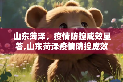 山东菏泽，疫情防控成效显著,山东菏泽疫情防控成效显著