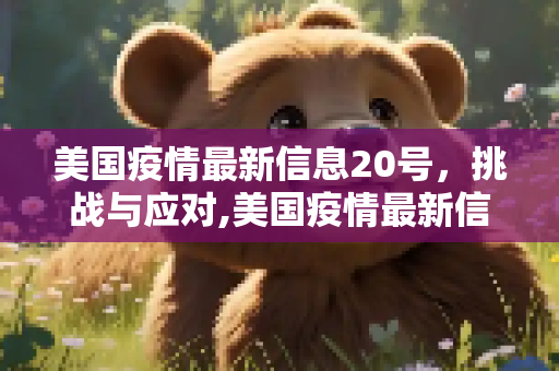 美国疫情最新信息20号，挑战与应对,美国疫情最新信息20号