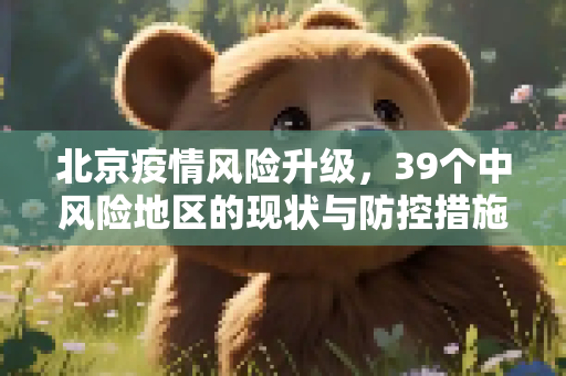 北京疫情风险升级，39个中风险地区的现状与防控措施,北京现有39个中风险地区