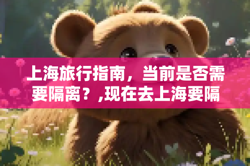上海旅行指南，当前是否需要隔离？,现在去上海要隔离吗