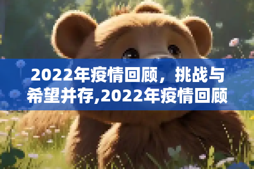 2022年疫情回顾，挑战与希望并存,2022年疫情回顾