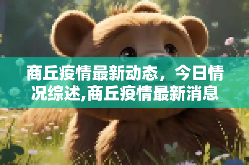 商丘疫情最新动态，今日情况综述,商丘疫情最新消息今天