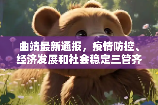 曲靖最新通报，疫情防控、经济发展和社会稳定三管齐下,曲靖最新通报