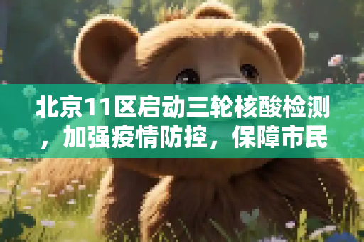 北京11区启动三轮核酸检测，加强疫情防控，保障市民健康,北京11区将3轮核酸