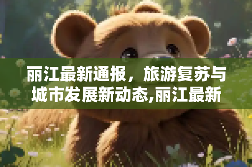 丽江最新通报，旅游复苏与城市发展新动态,丽江最新通报