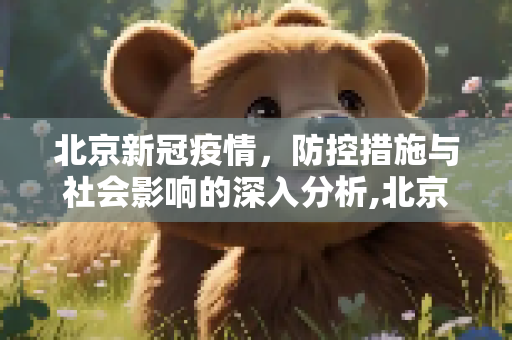北京新冠疫情，防控措施与社会影响的深入分析,北京新冠