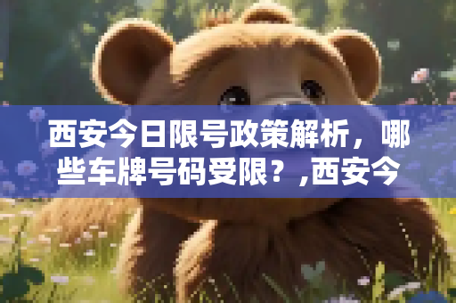 西安今日限号政策解析，哪些车牌号码受限？,西安今天限号是几和几