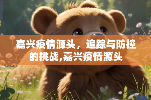 嘉兴疫情源头，追踪与防控的挑战,嘉兴疫情源头