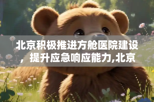 北京积极推进方舱医院建设，提升应急响应能力,北京正在着手建设方舱医院